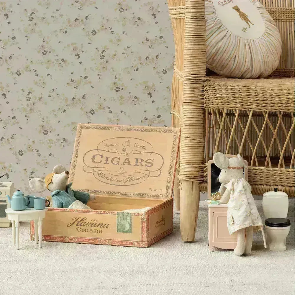Mum and dad mice in cigarbox