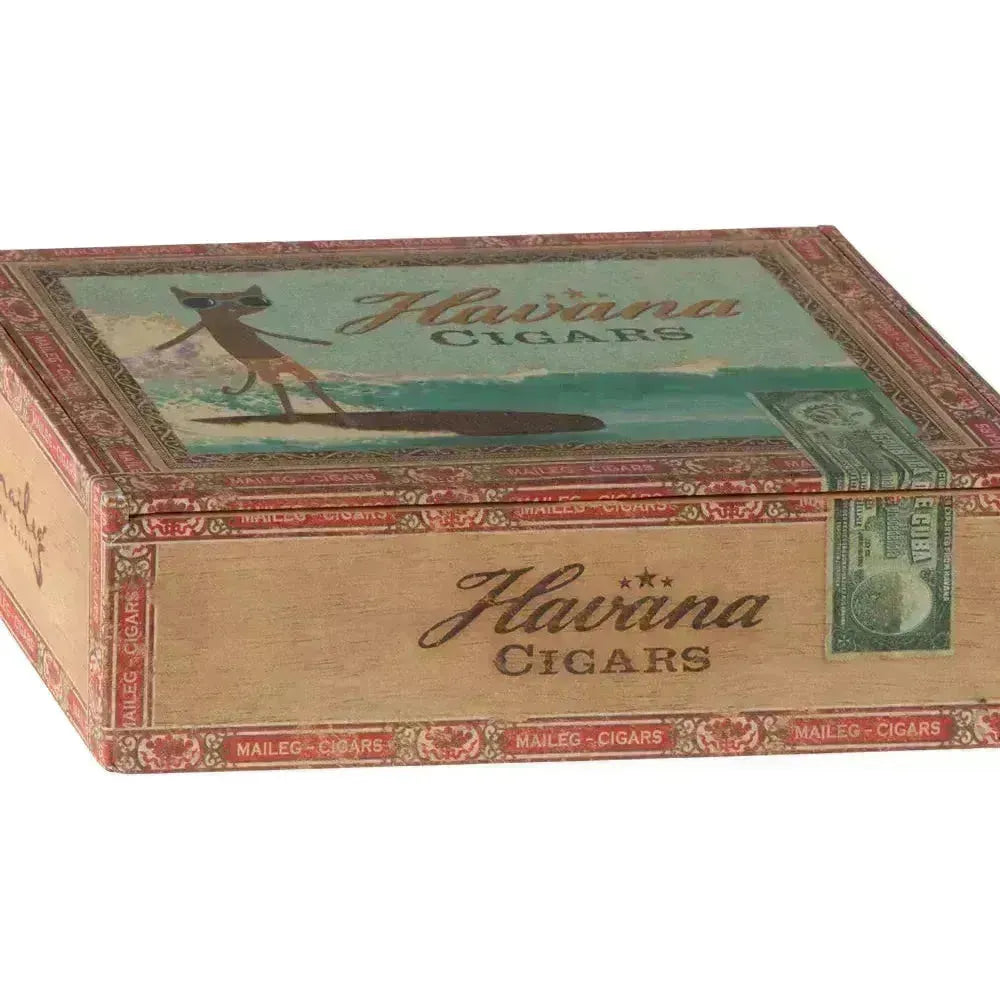 Mum and dad mice in cigarbox