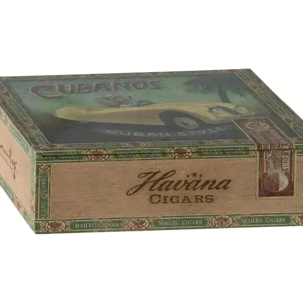 Grandma and Grandpa mice in cigarbox