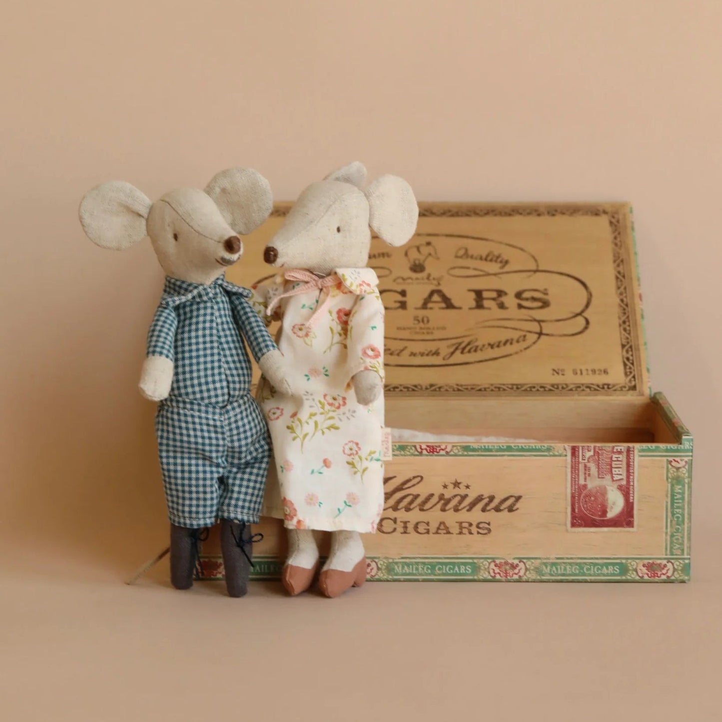 Grandma and Grandpa mice in cigarbox