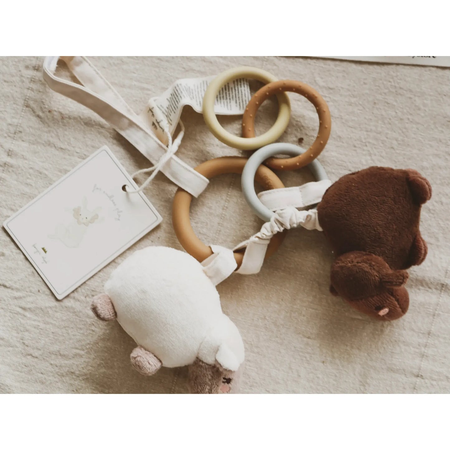 Activity Ring - Sheep