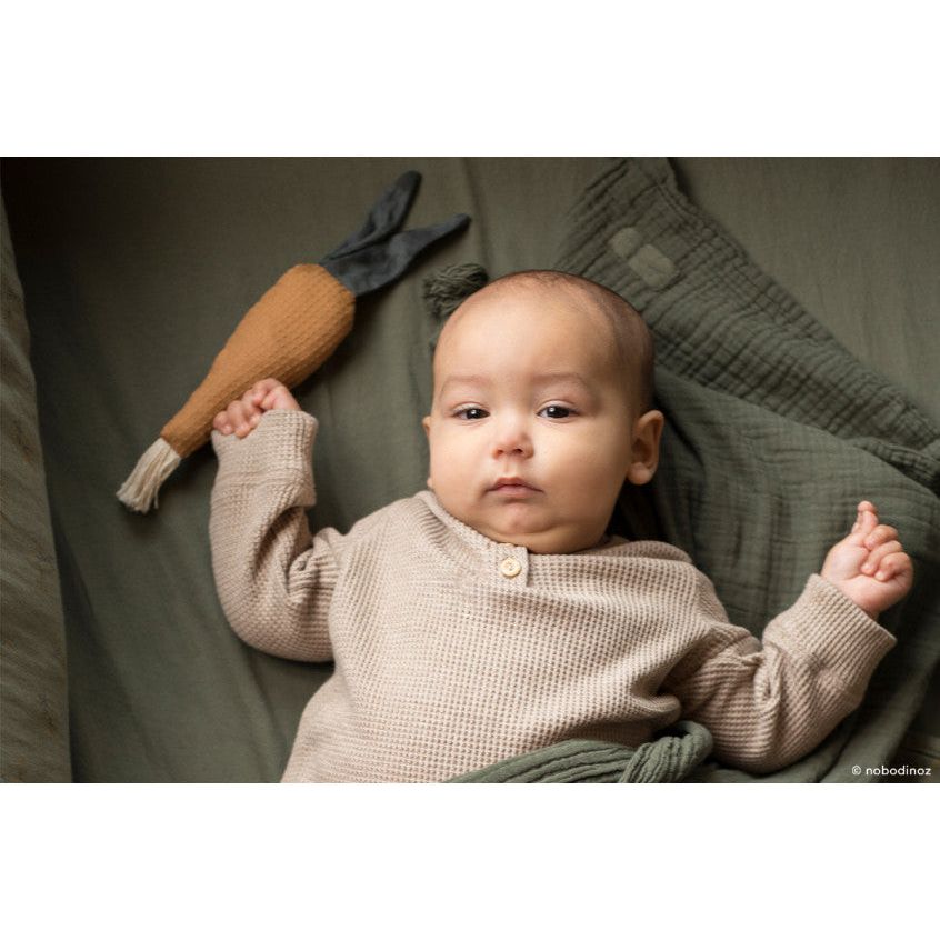 Sonajero Organic Carrot