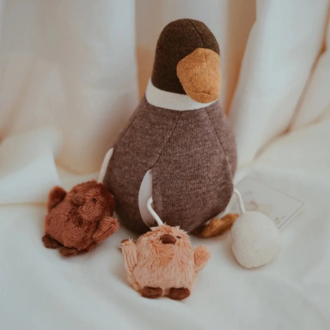 Activity Balance Duck