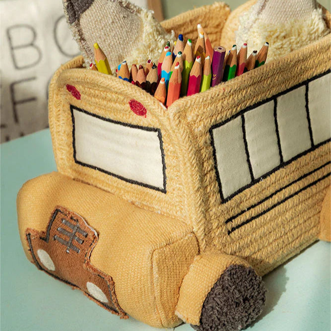 Canasto mini bus