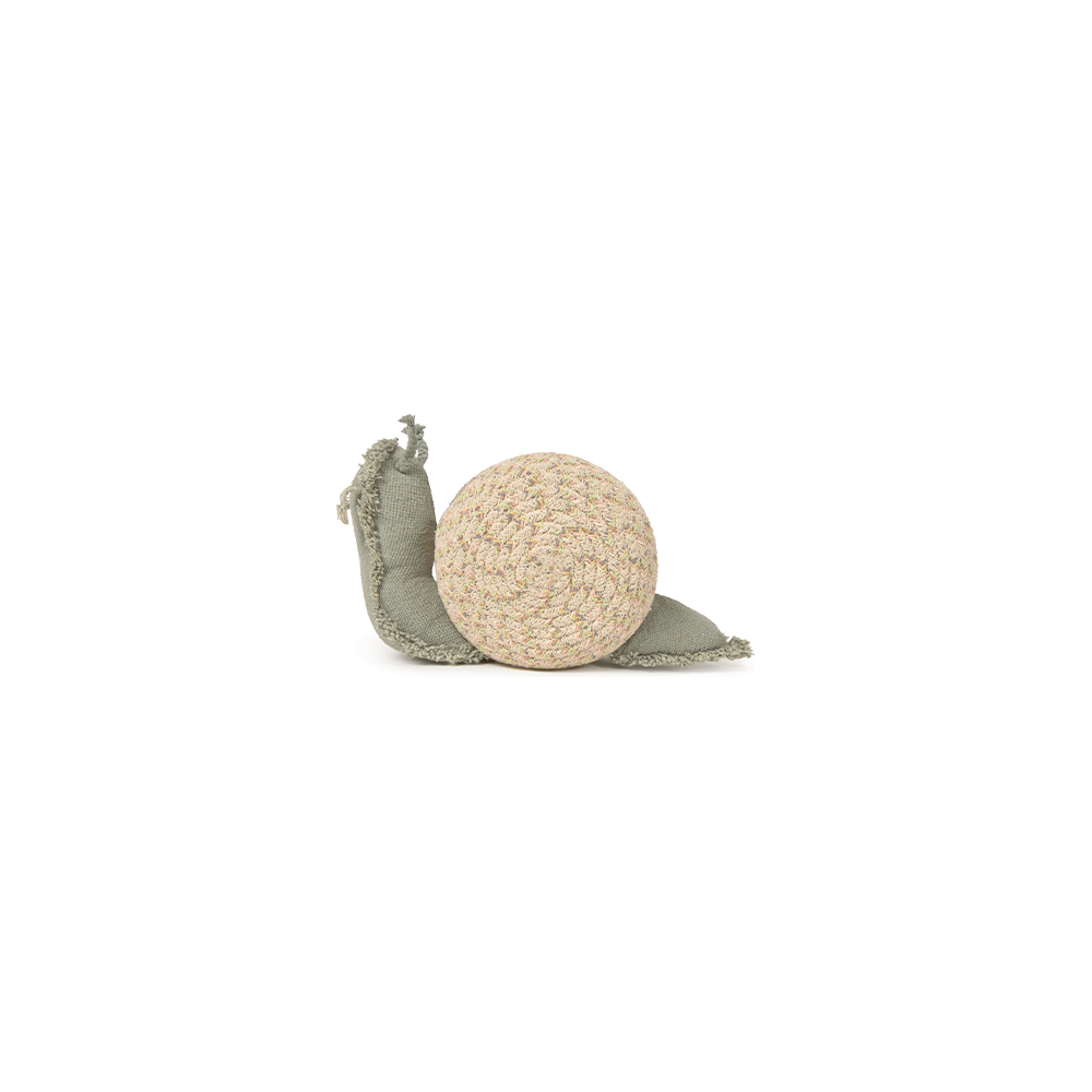 Canasto mini snail