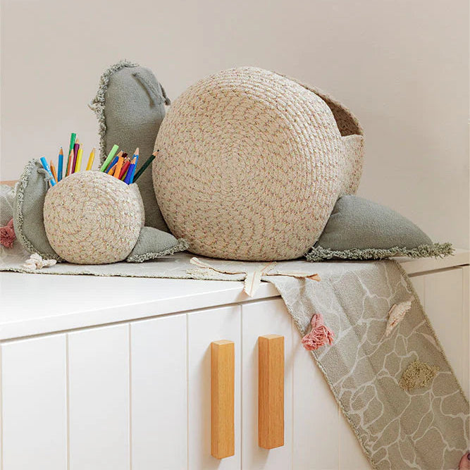 Canasto mini snail