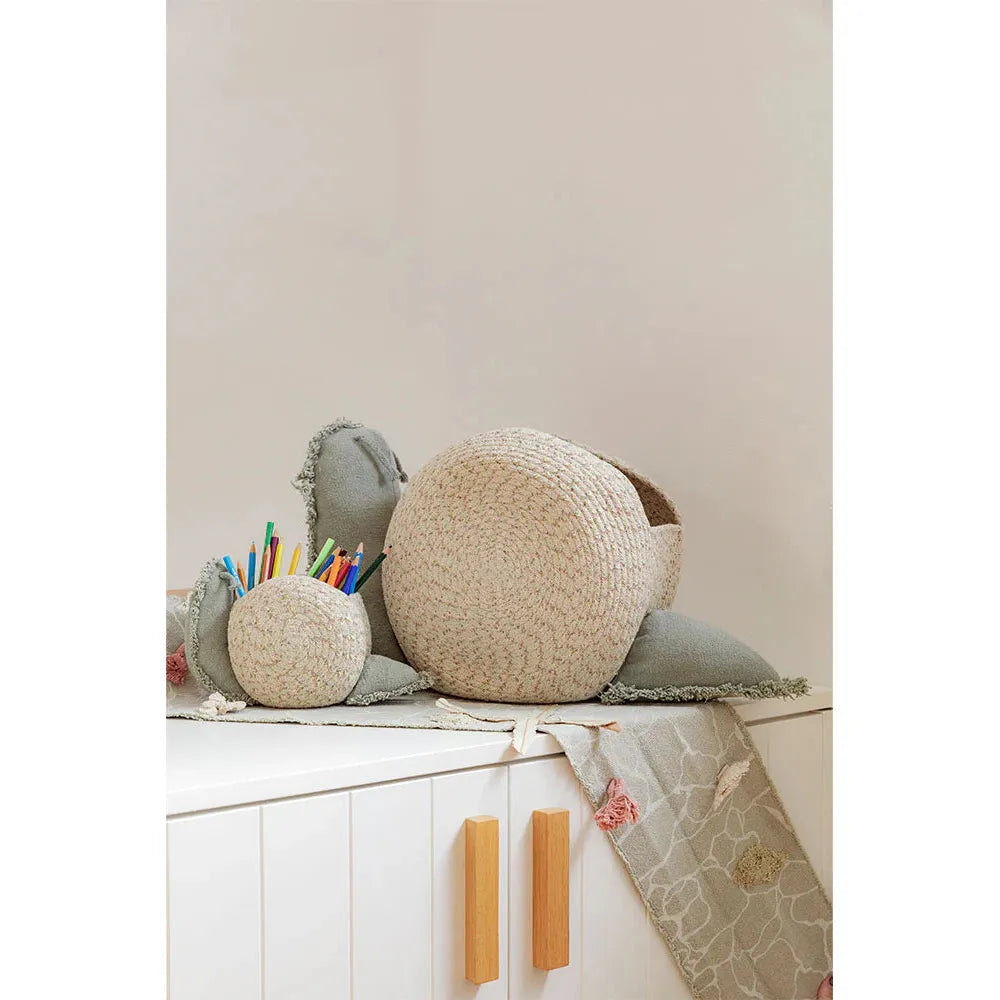 Canasto big snail