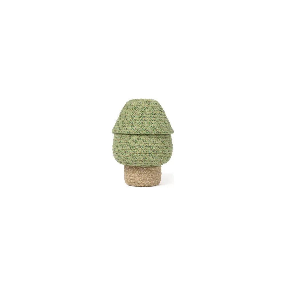 Canasto mini tree