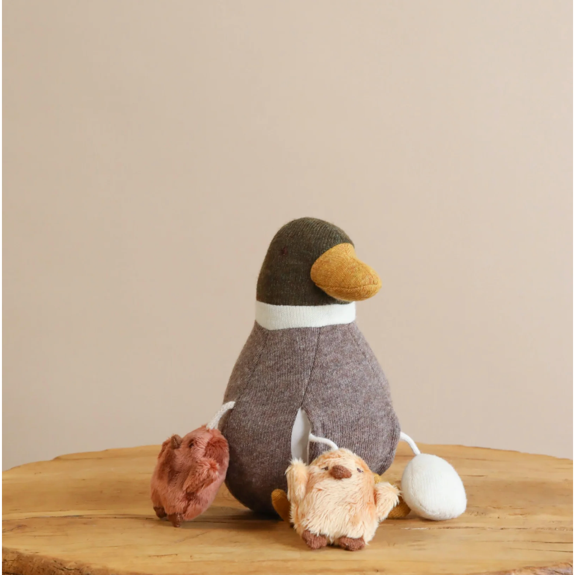 Activity Balance Duck