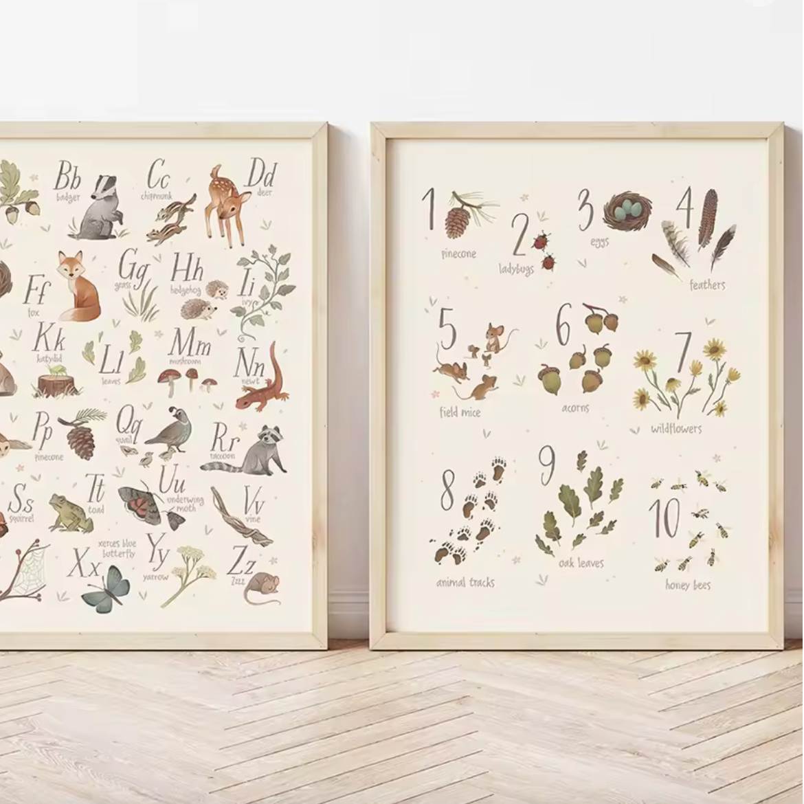 Lámina / poster - Nature numbers