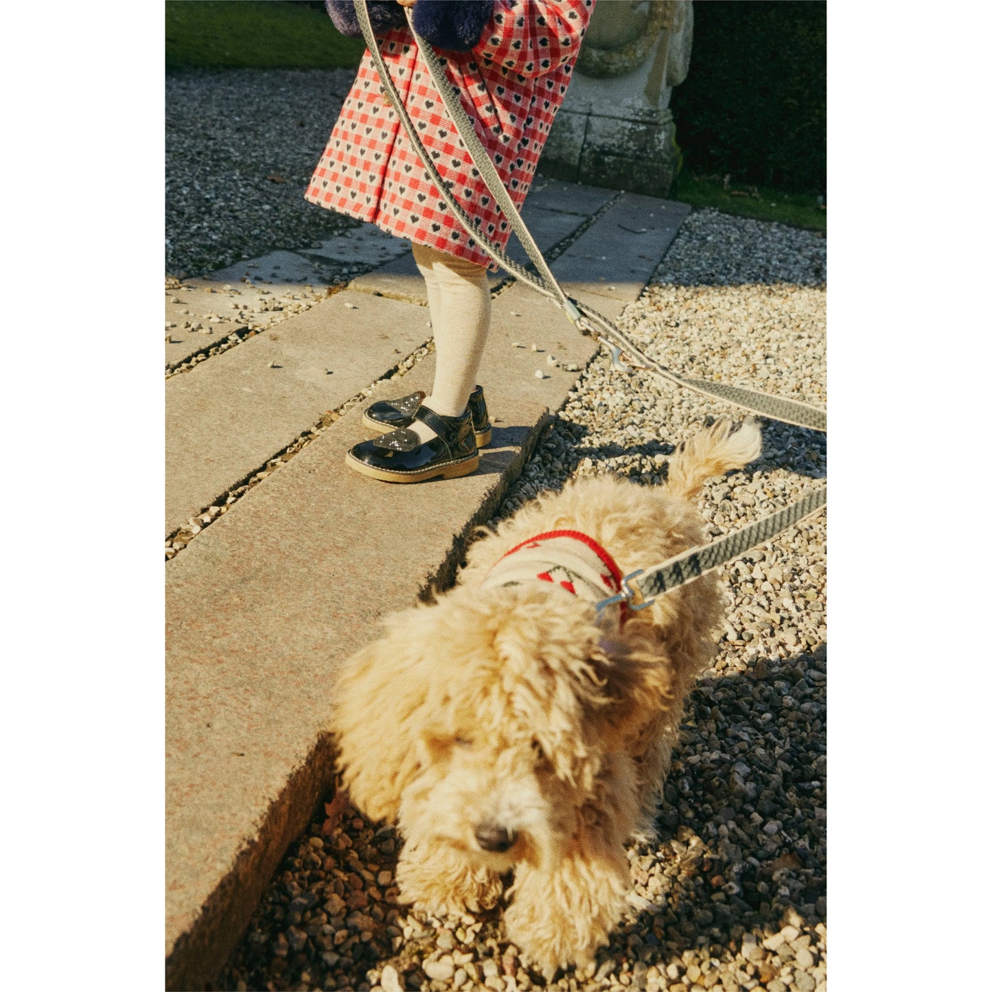Knit dog vest (ropa para perros) - Cherry