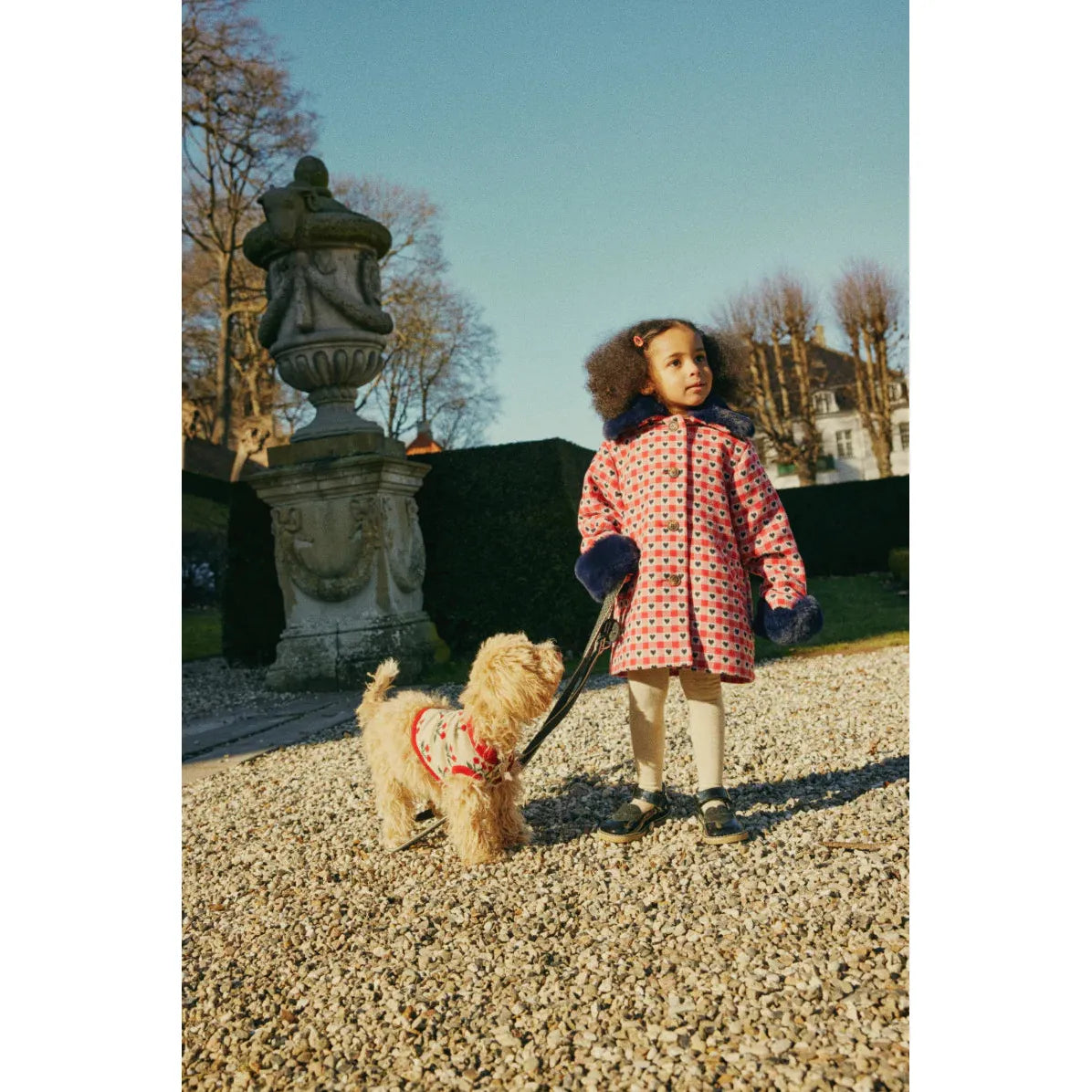 Knit dog vest (ropa para perros) - Cherry