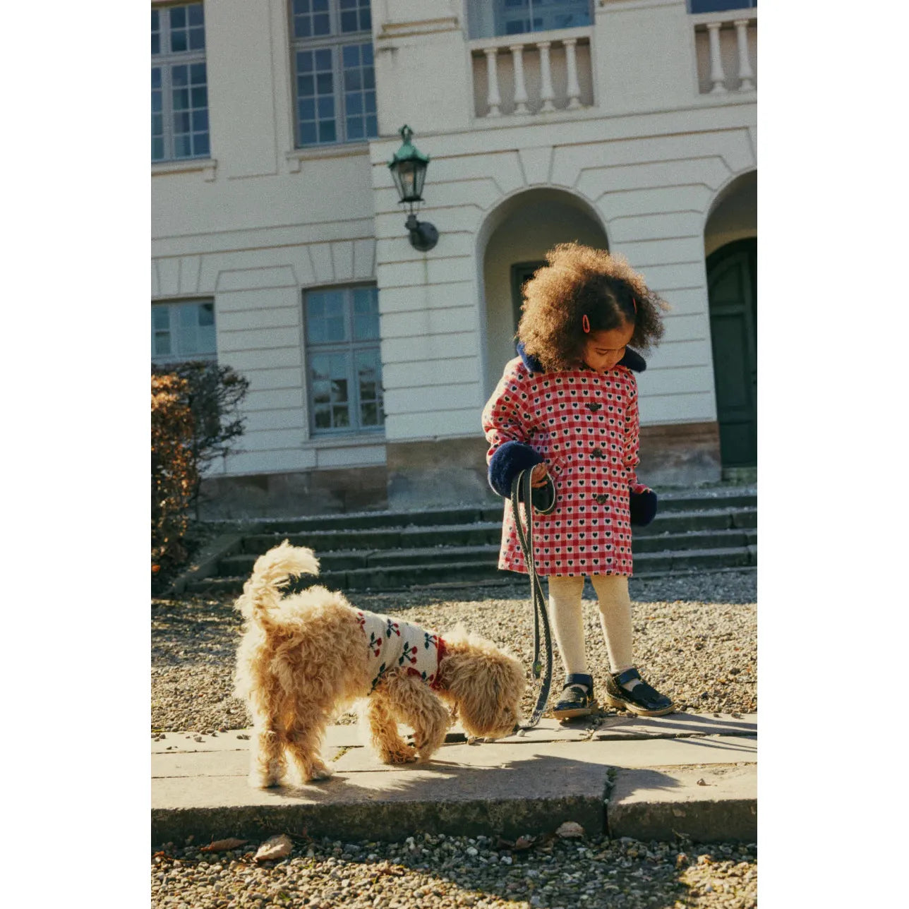 Knit dog vest (ropa para perros) - Cherry