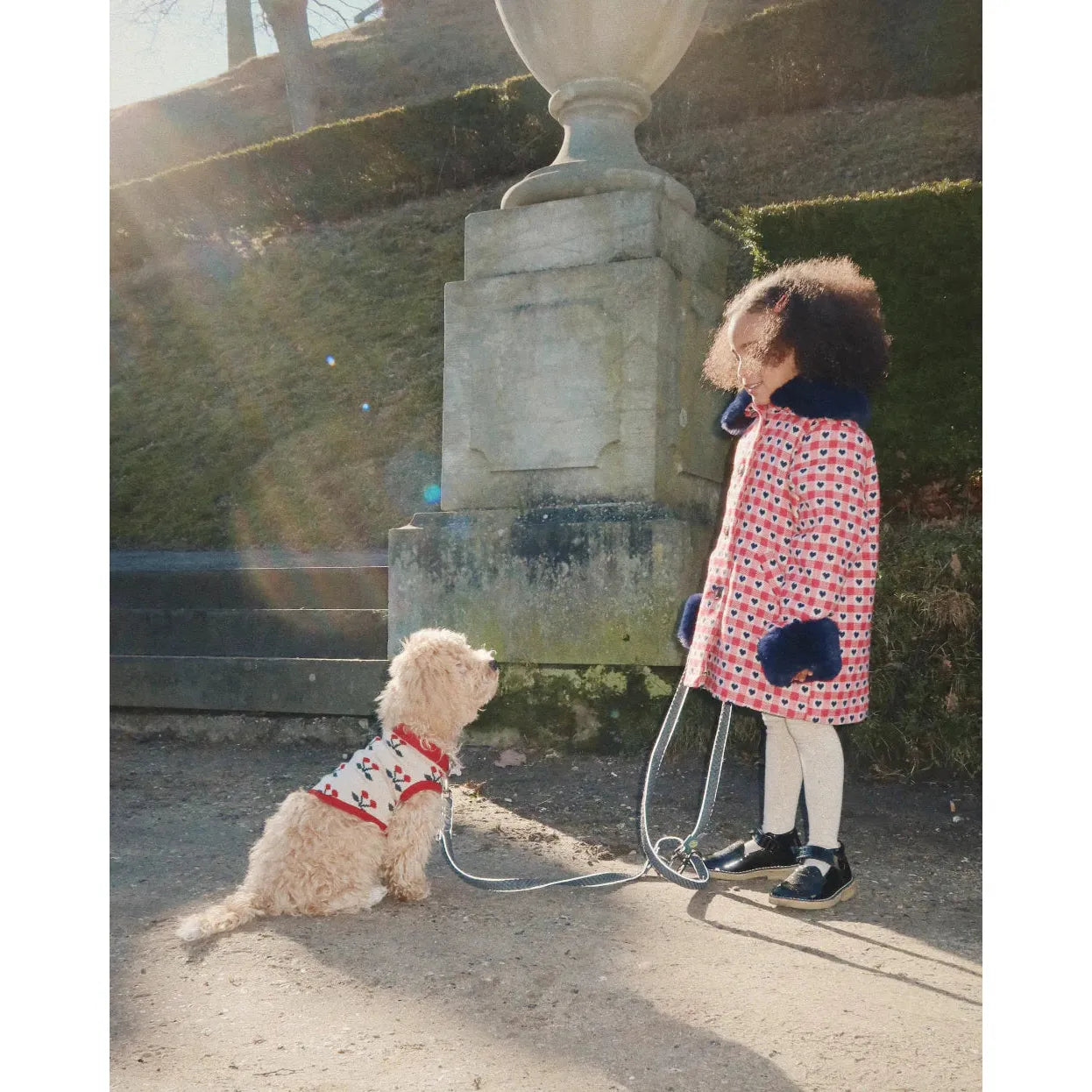 Knit dog vest (ropa para perros) - Cherry