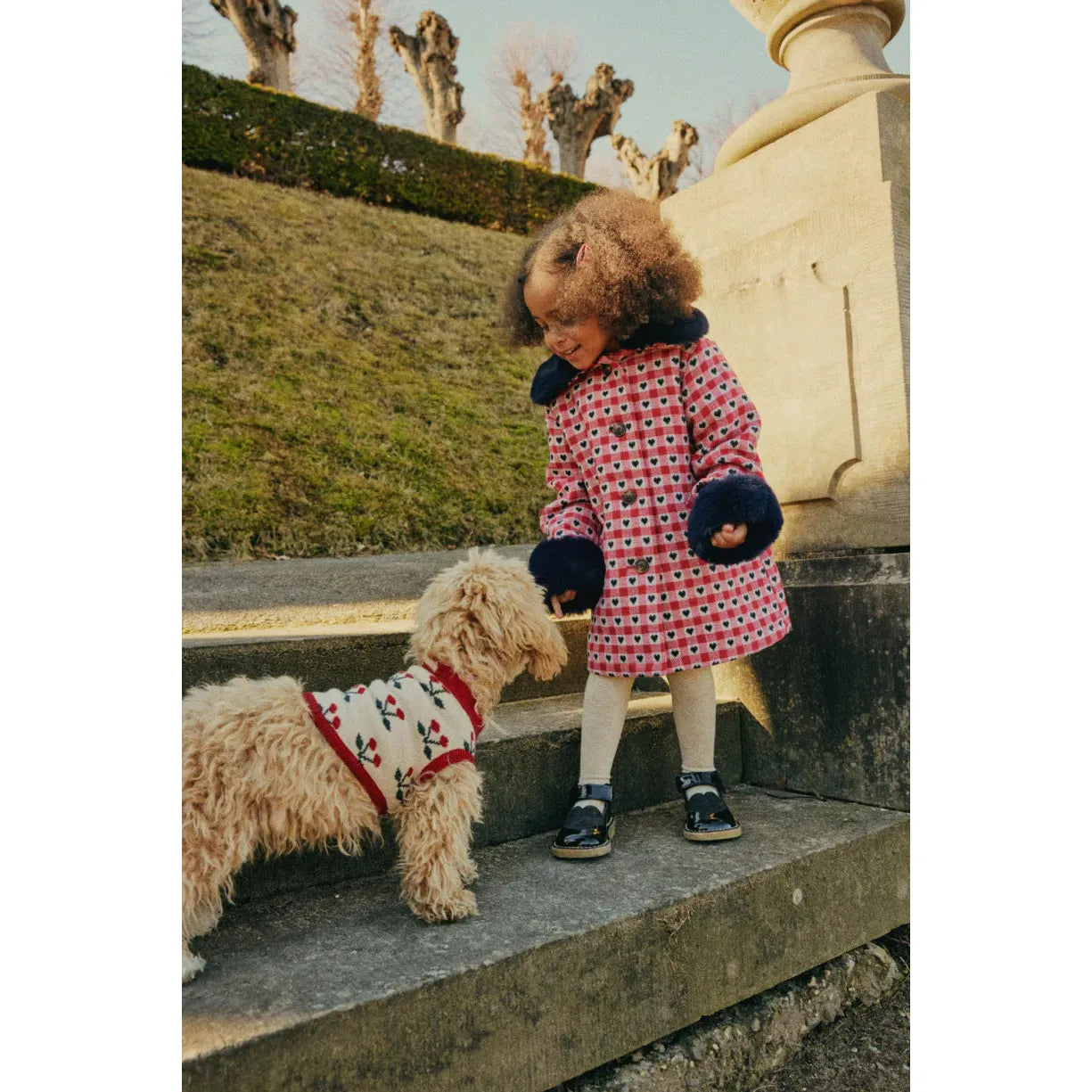 Knit dog vest (ropa para perros) - Cherry