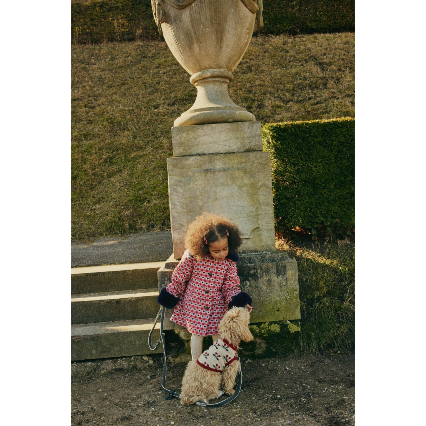 Knit dog vest (ropa para perros) - Cherry