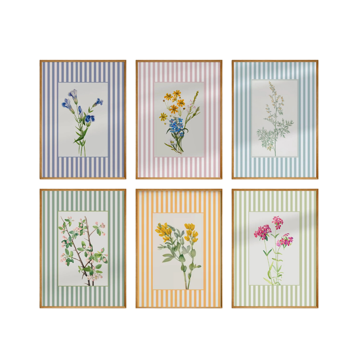Lámina / poster - Flowers & Lines