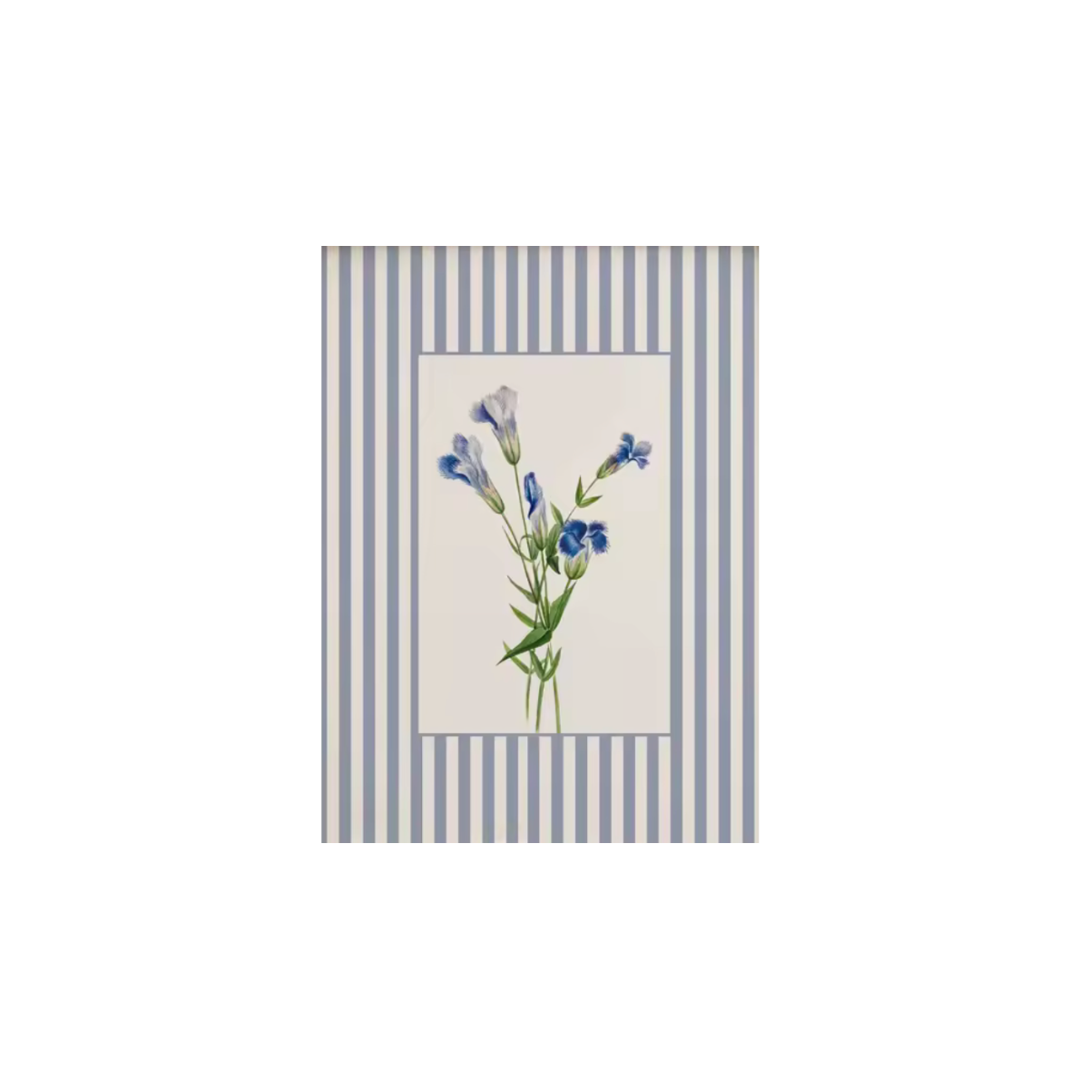 Lámina / poster - Flowers & Lines