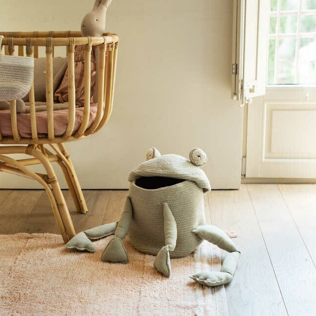 Canasto Fred the frog