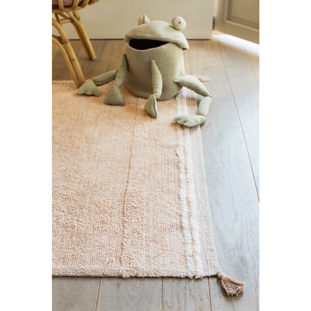 Canasto Fred the frog