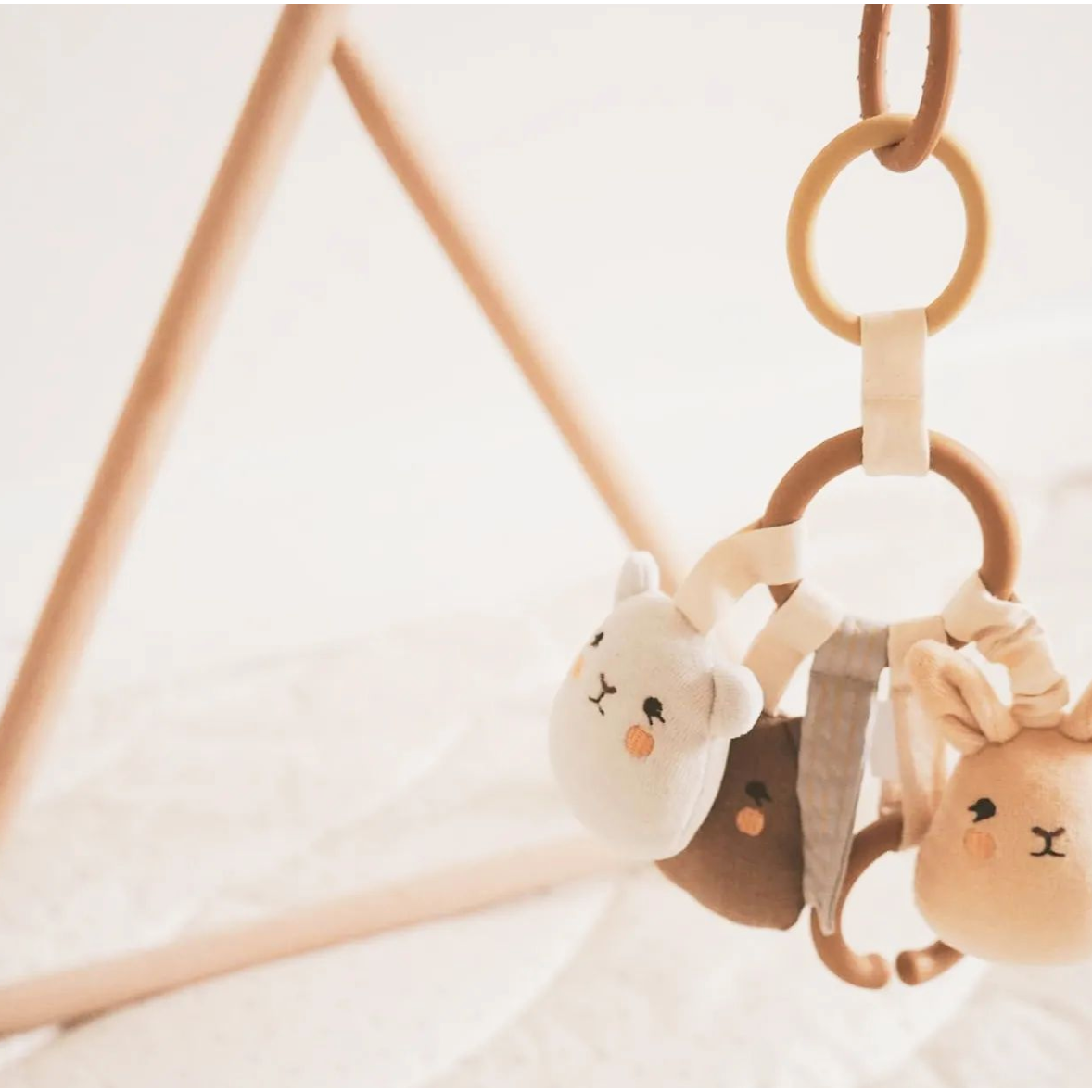 Activity Ring - Tiny Friends