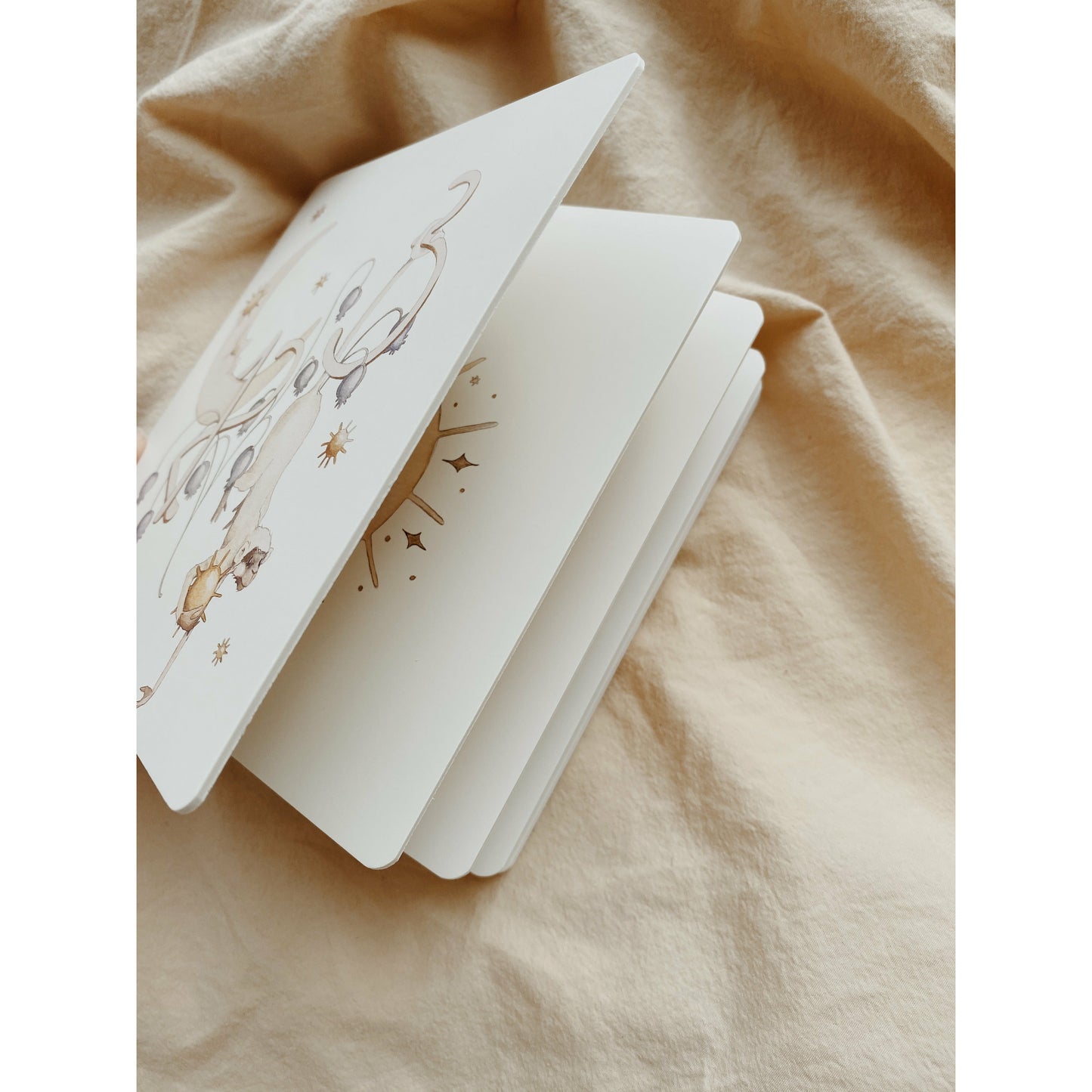 Libro - My First Number