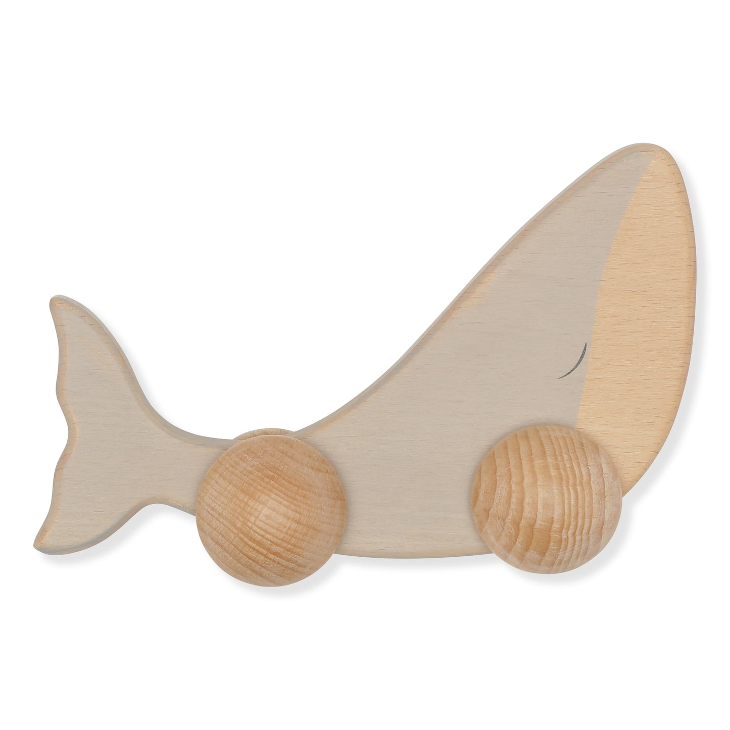 Rolling Whale