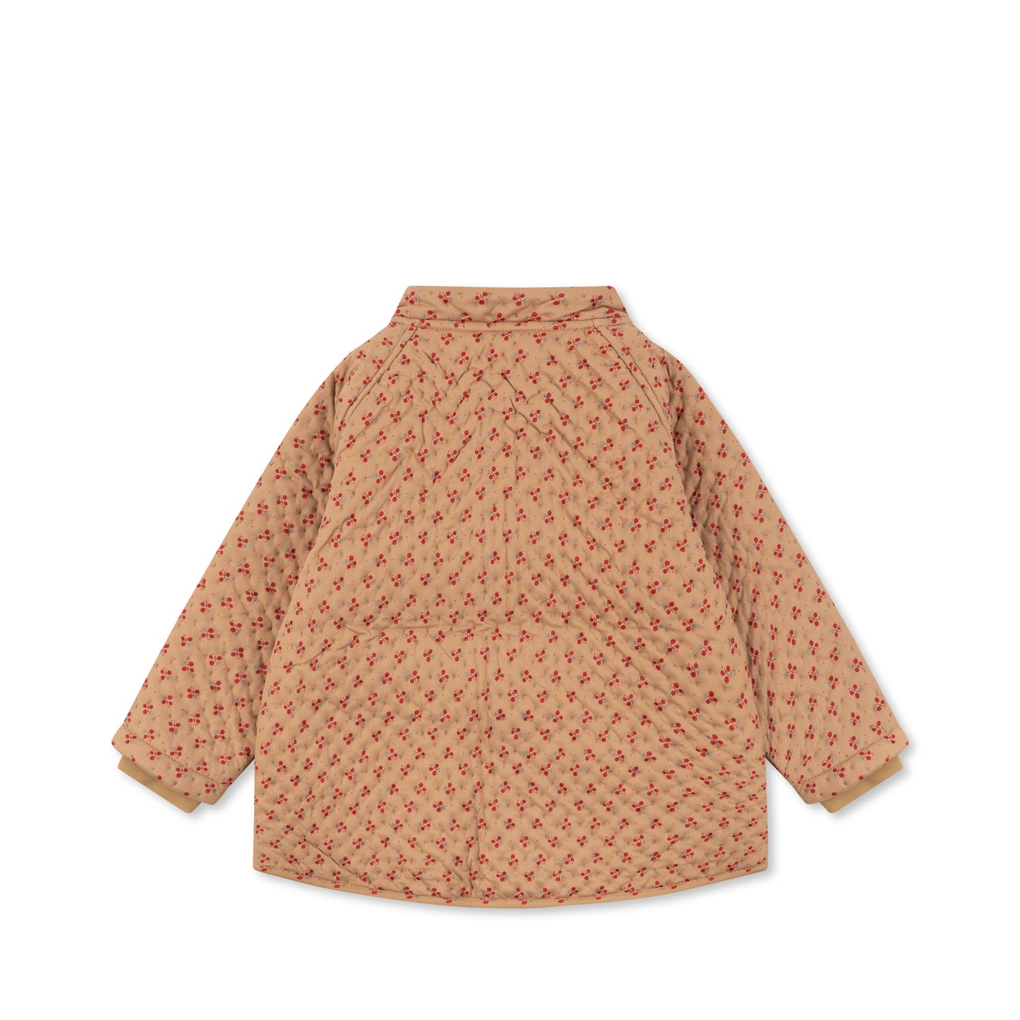 Chaqueta Thermo Jacket - Petit Rouge