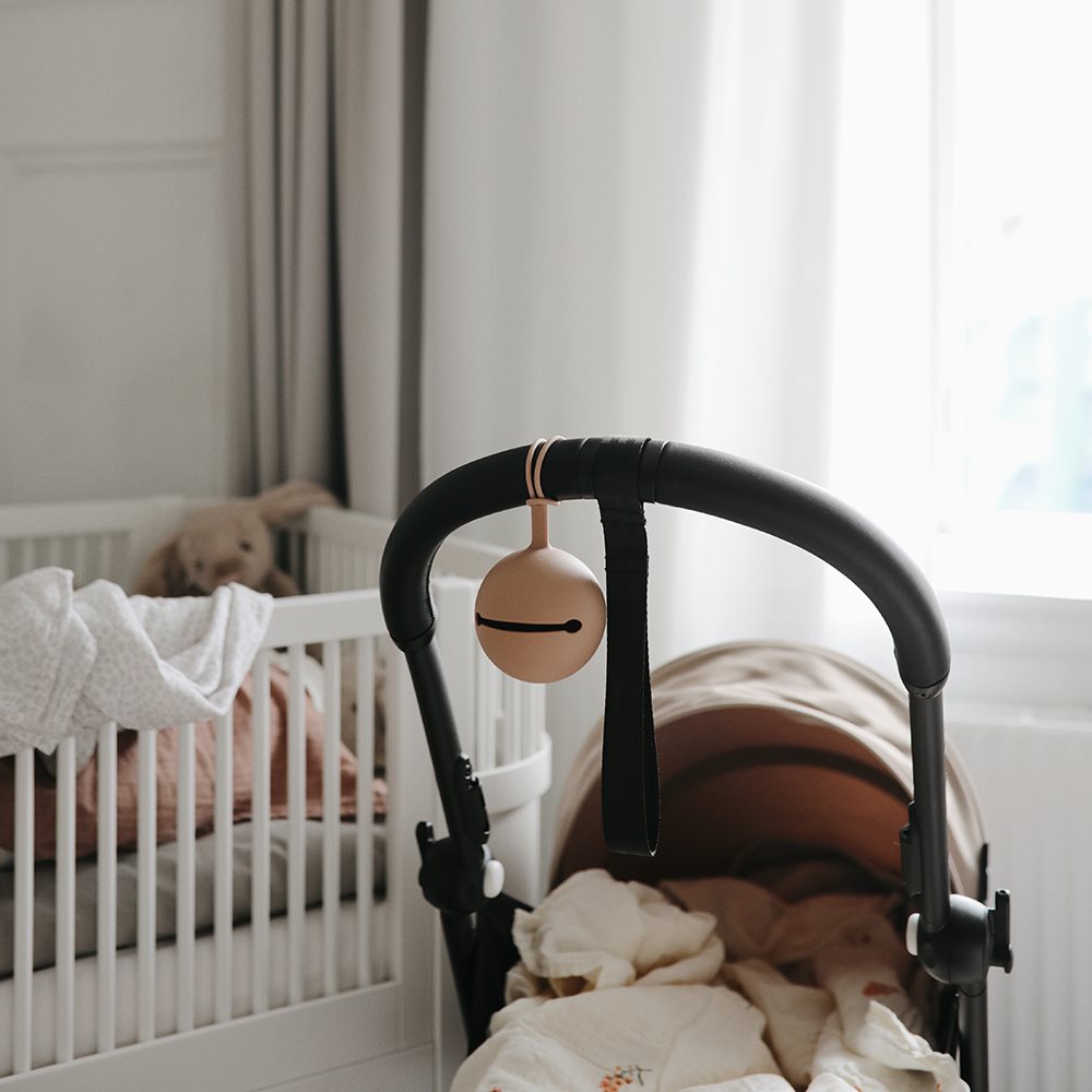 Colgante Guarda Chupetes Silicona - Pacifier Case