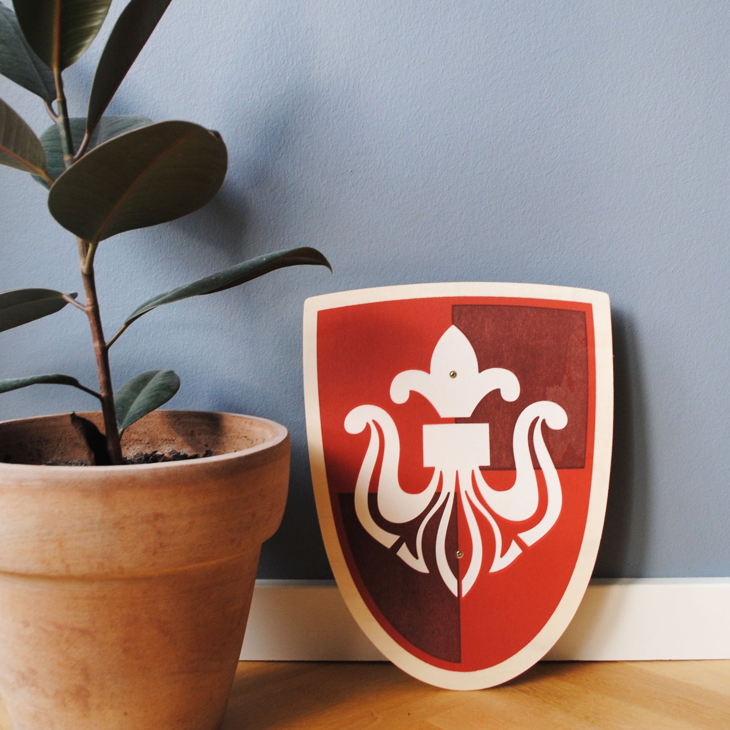 Escudo De Madera