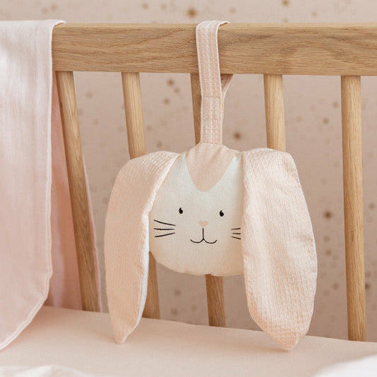 Colgante para coche / gimnasio - Bunny