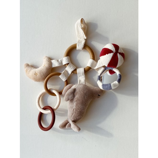 Activity Ring - Circus