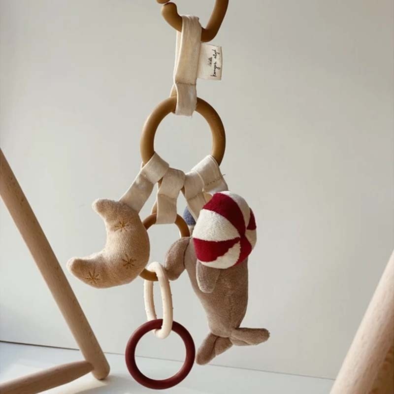 Activity Ring - Circus