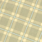 Funda de almohada sheldon 60 x 60 cm - Green lemons squares