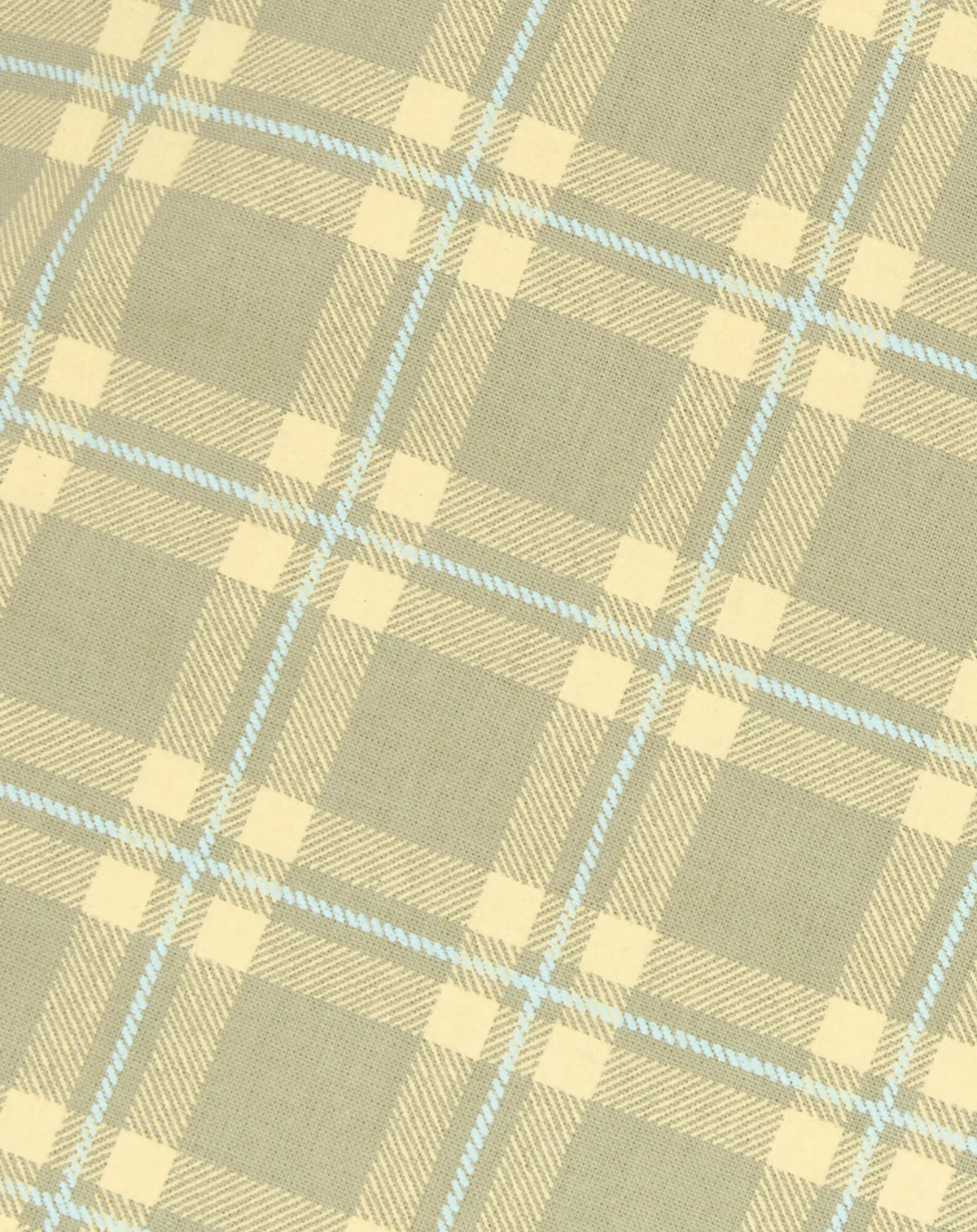 Funda de almohada sheldon 60 x 60 cm - Green lemons squares