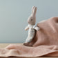 Conejitos - 3 Rabbit micro