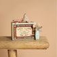 Ratoncitos - Twins baby mice In A Matchbox