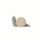 Canasto big snail