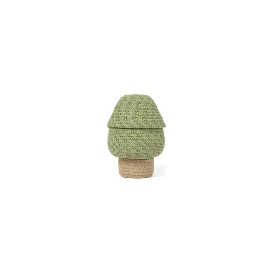 Canasto mini tree