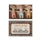 Ratoncitos - Triplets, Baby mice in matchbox - Checker