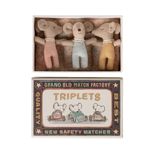 Ratoncitos - Triplets, Baby mice in matchbox - Checker
