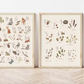 Lámina / poster - Nature numbers