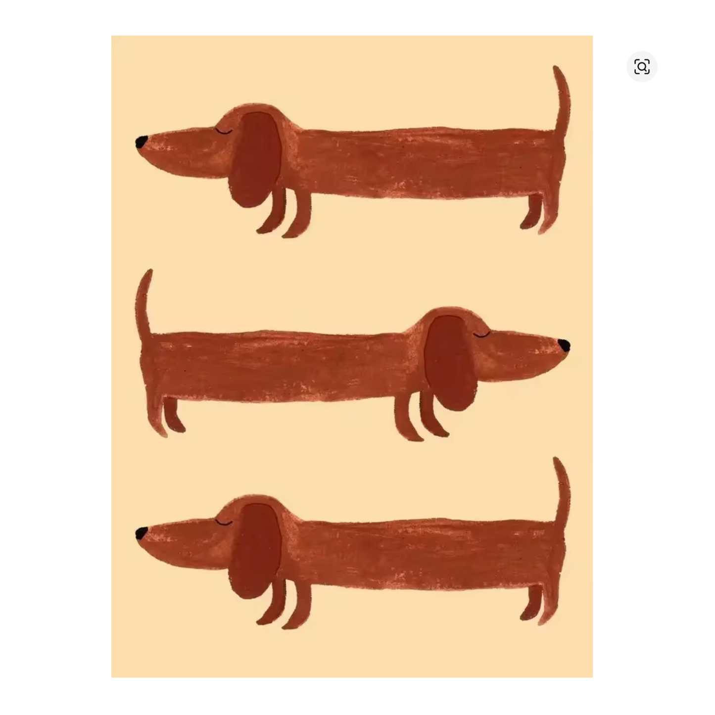 Lámina / poster - Perro salchicha