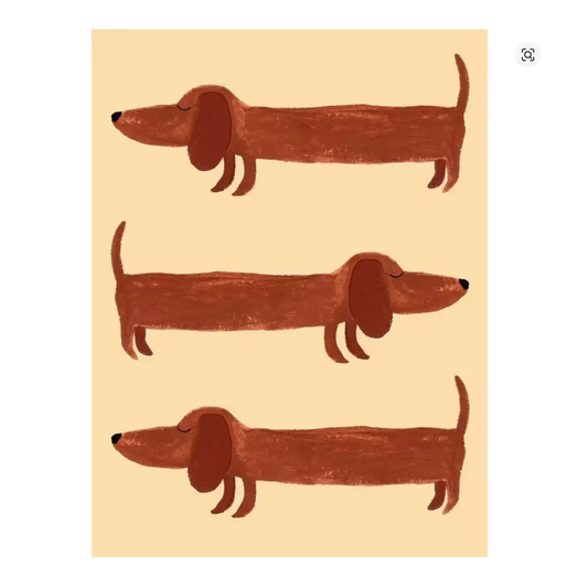 Lámina / poster - Perro salchicha