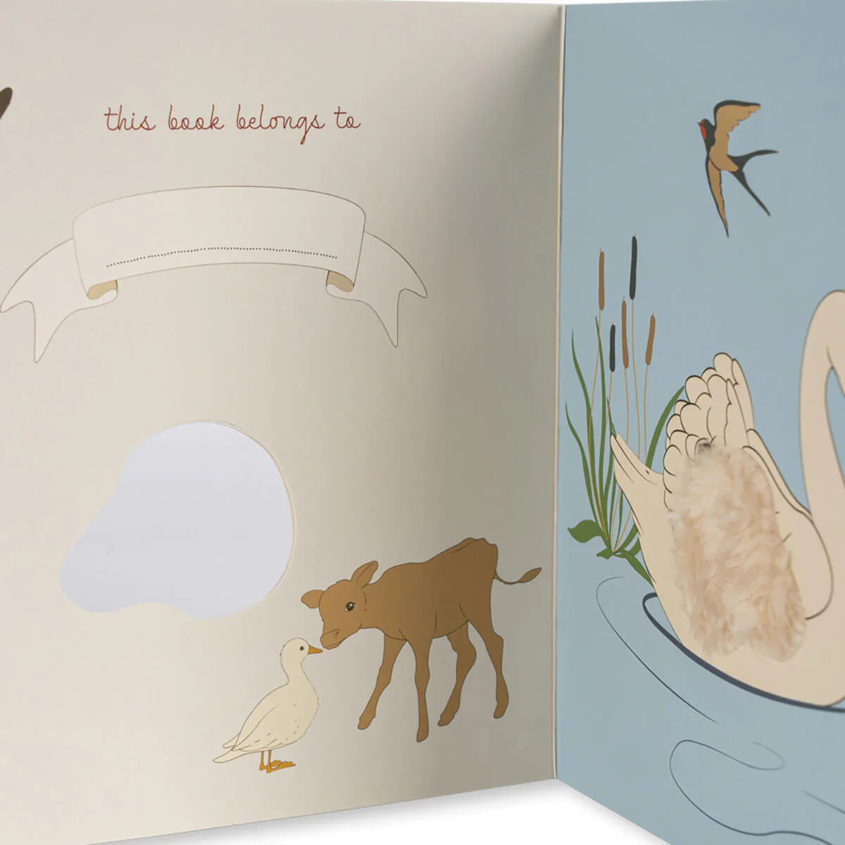 Libro touch and feel - Multi