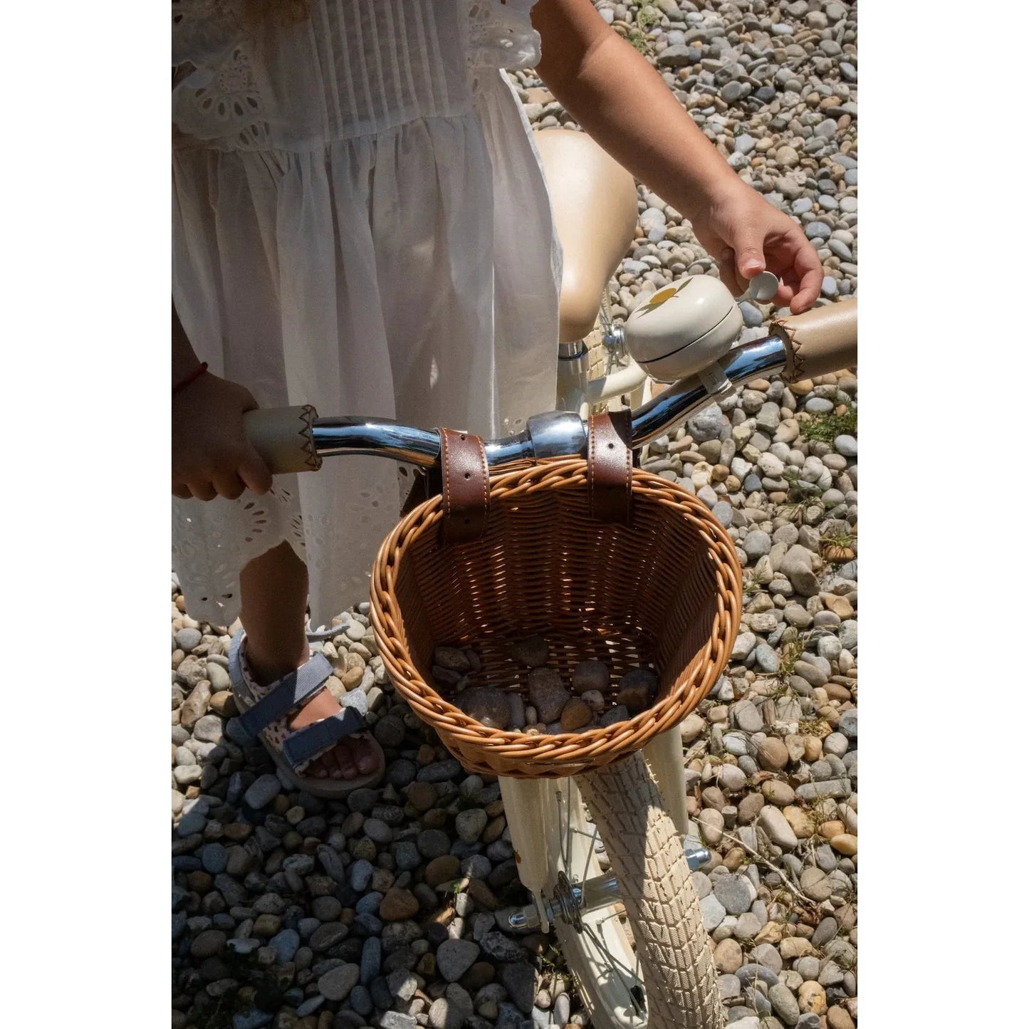 Canasto para bicicleta