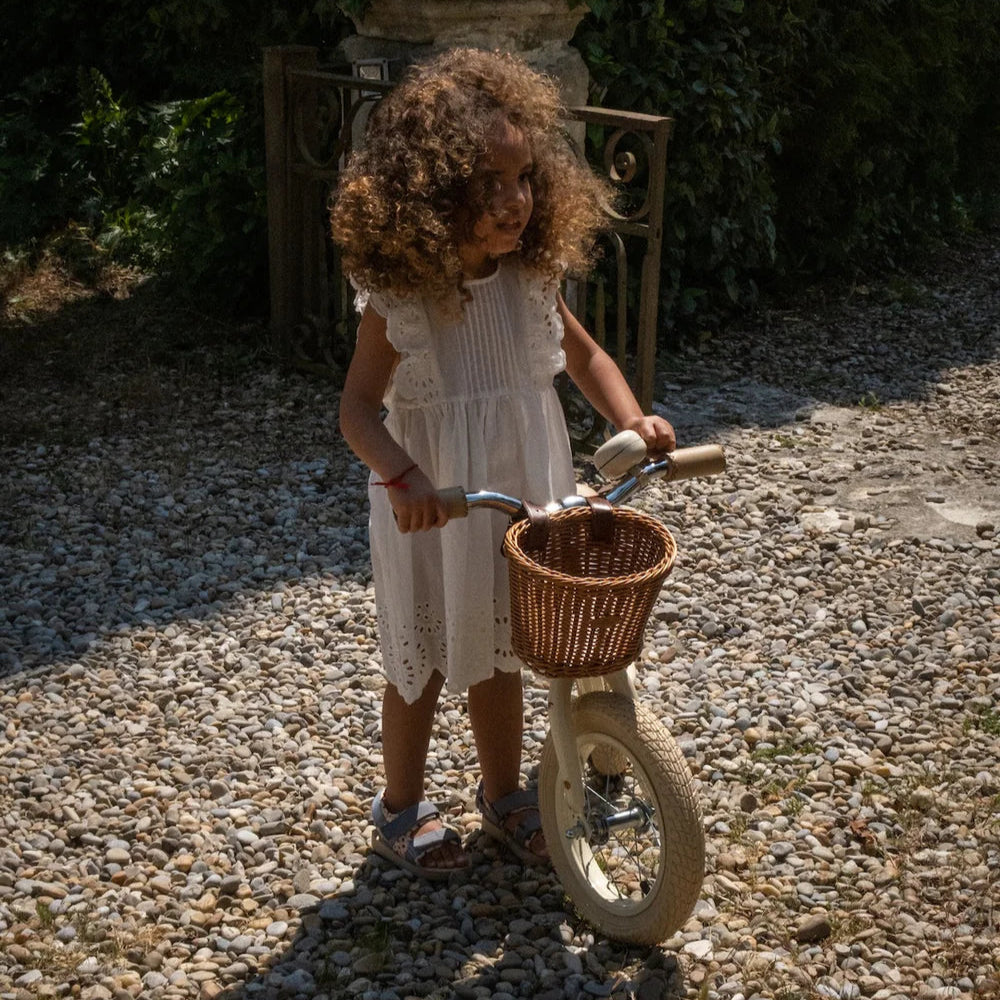 Canasto para bicicleta