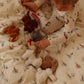 Peluches baby animal - Bunny