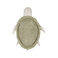 Pouf Mrs. Turtle