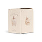 Caja de dientes tooth box